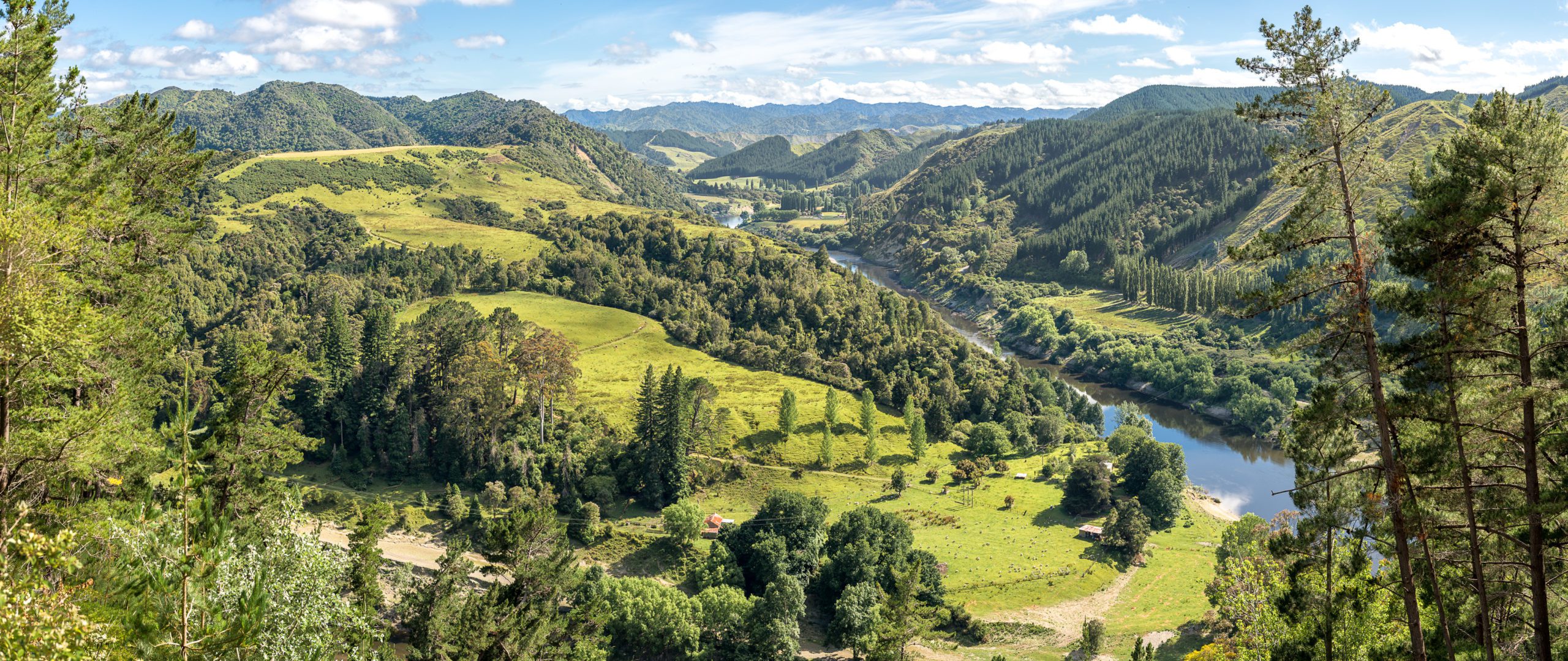 Whanganui River Road-Pano